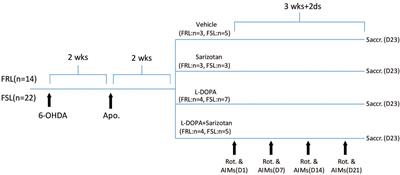 Non-dopaminergic Alterations in Depression-Like FSL Rats in Experimental Parkinsonism and L-DOPA Responses